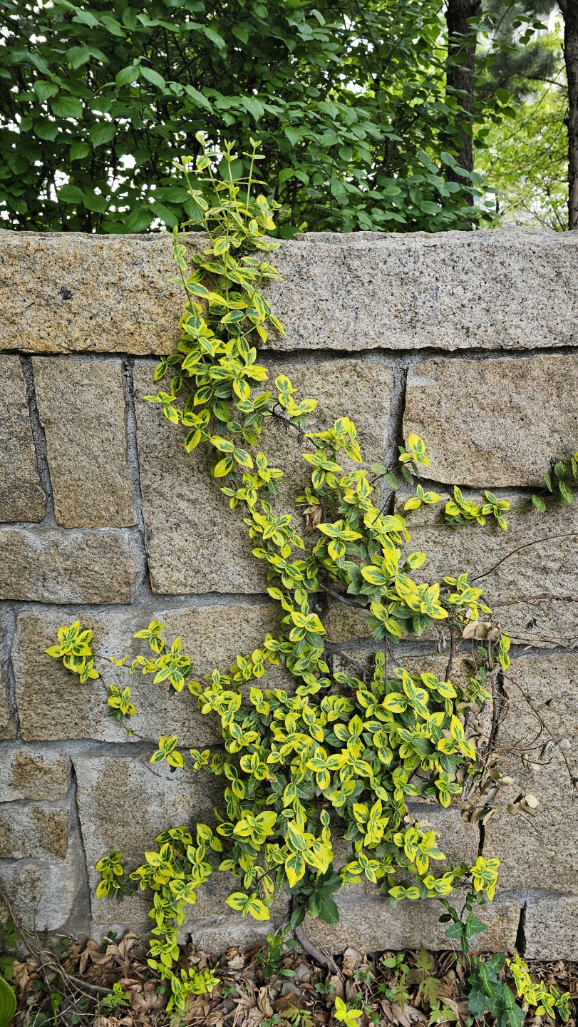 Post image 15