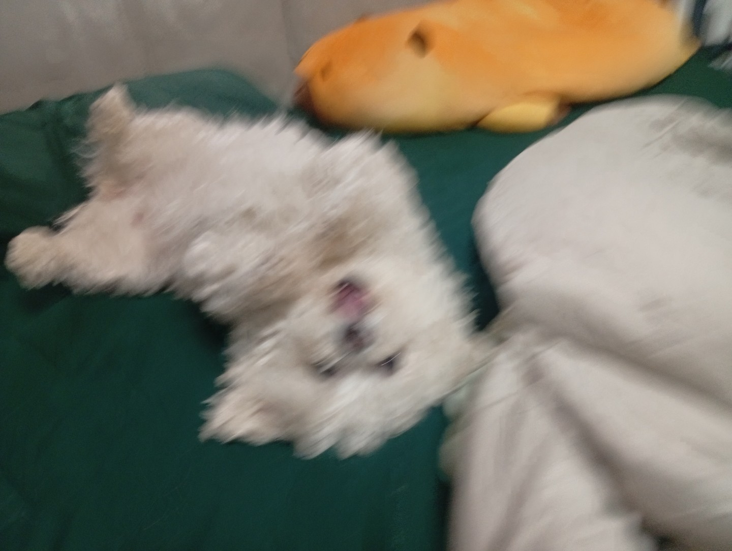 Post image 4