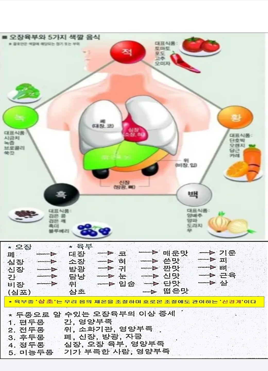<오장육부>
