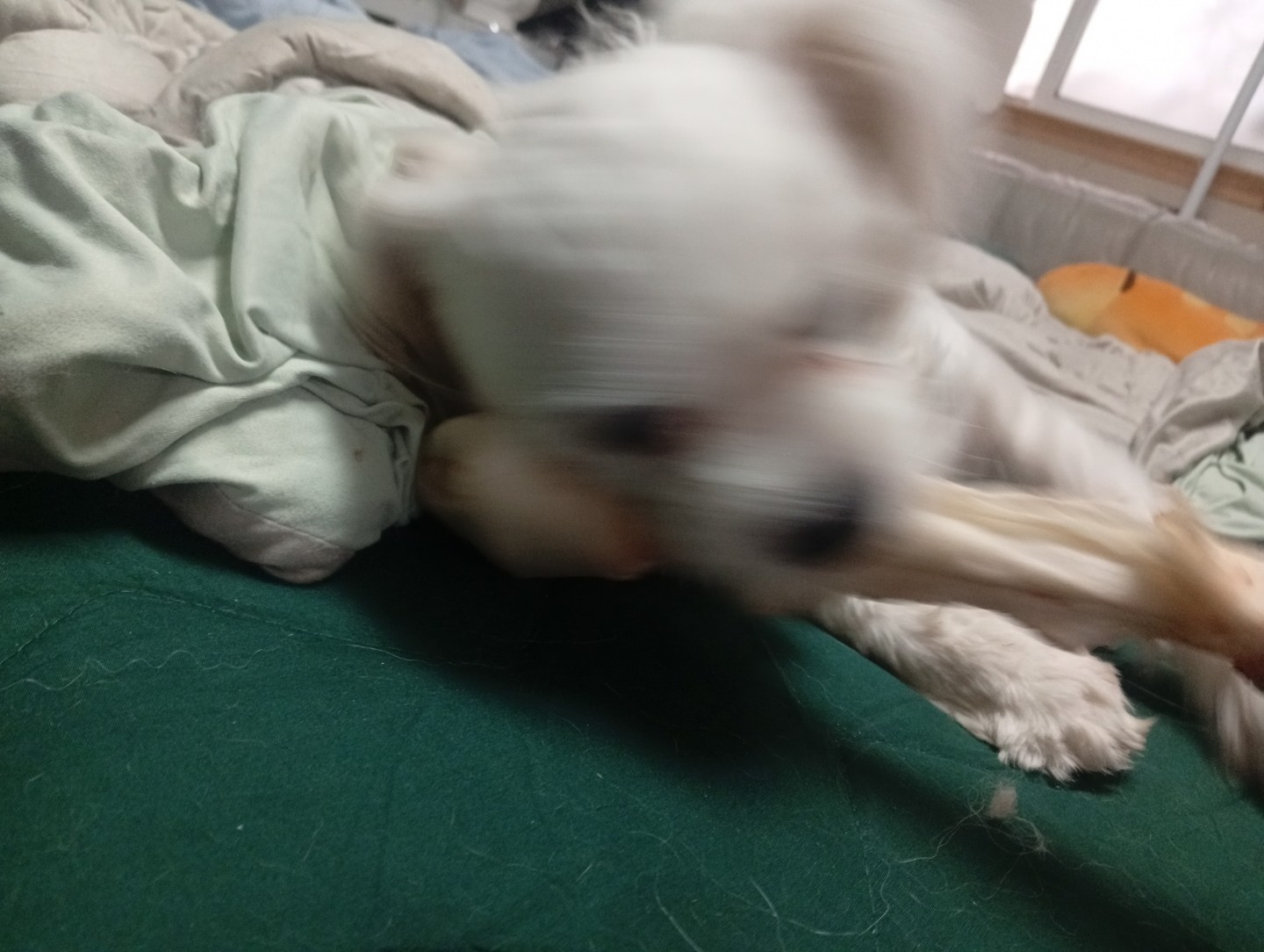 Post image 7