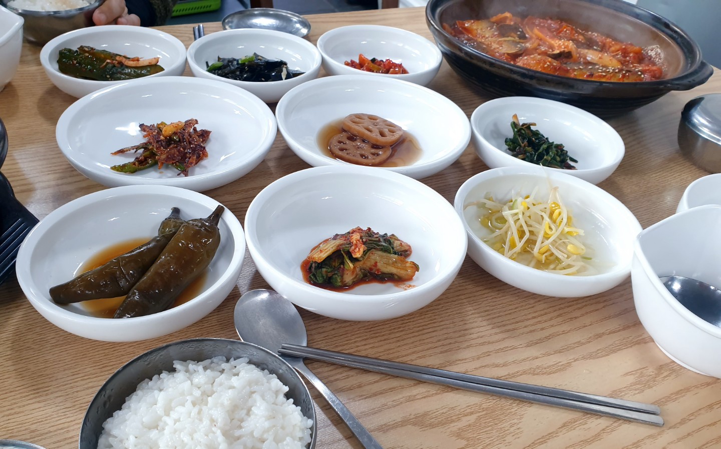 9살 포메 남아의 짖음 문제 고민 by 보보클
