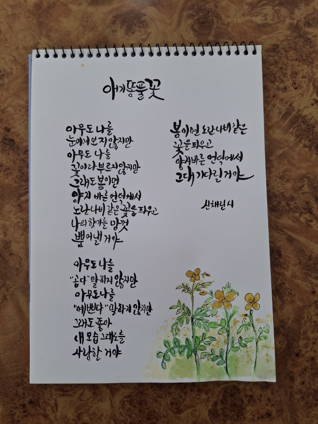 시화/애기똥풀꽃