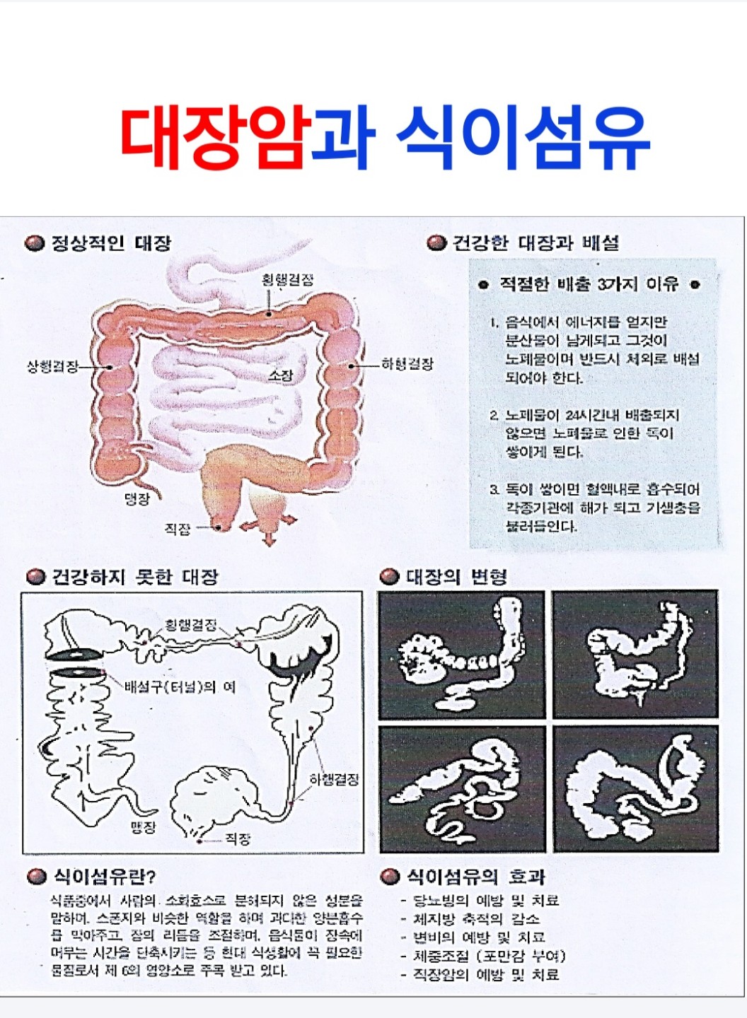 <오장육부>