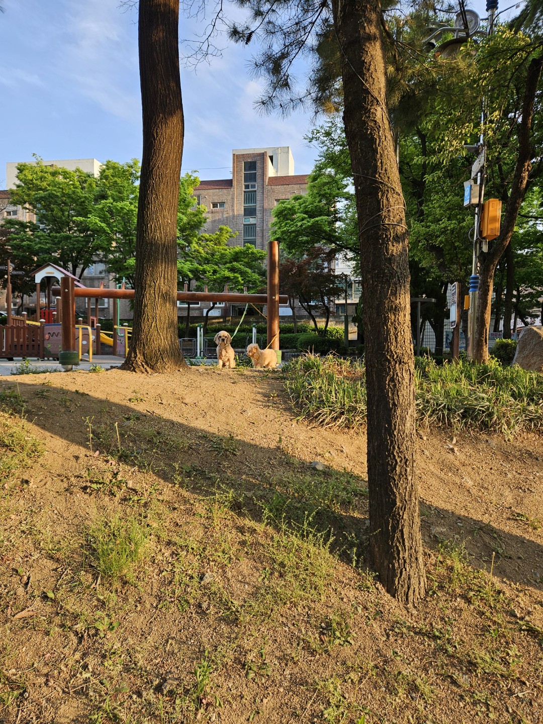 Post image 3