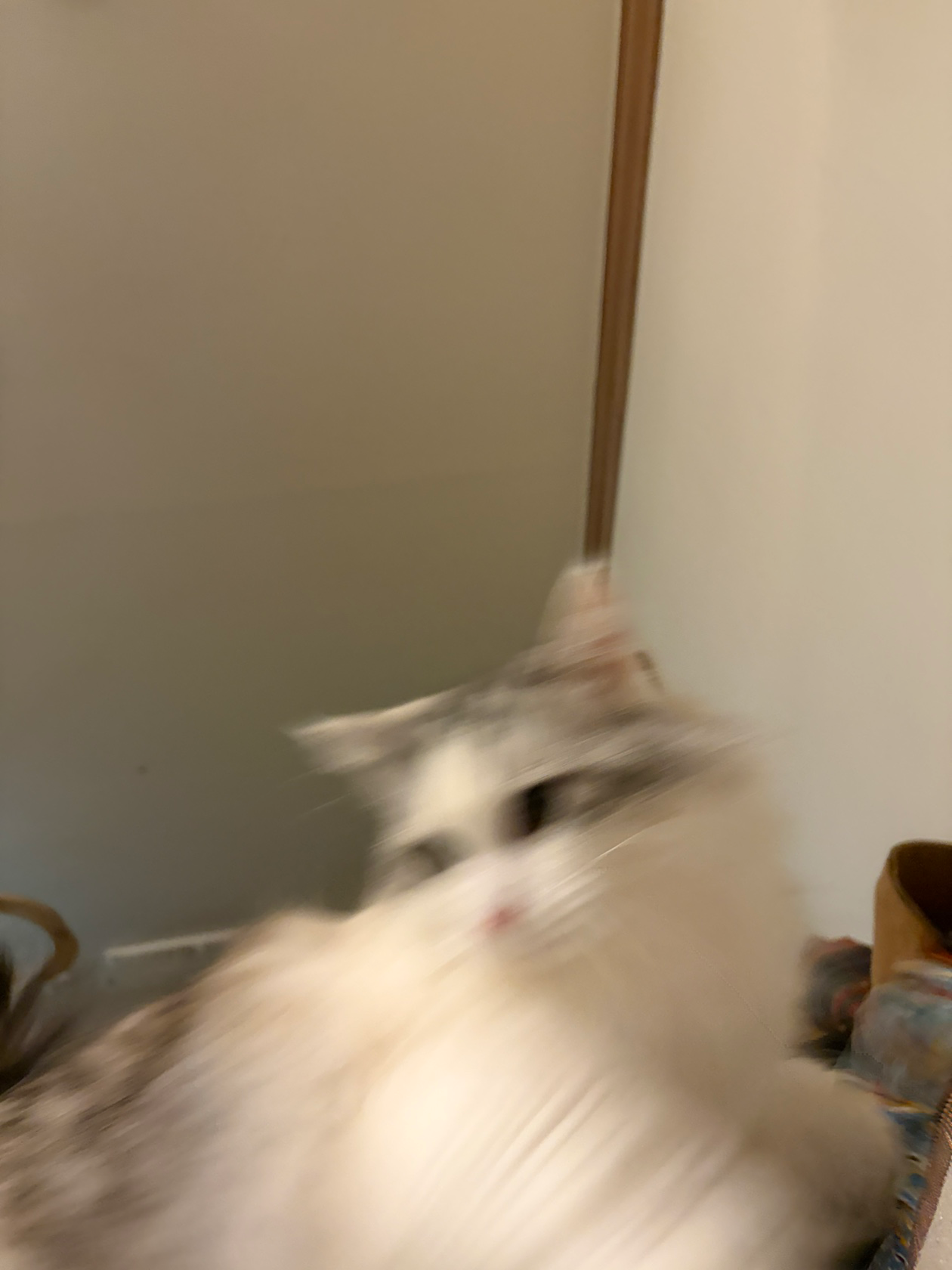 Post image 10
