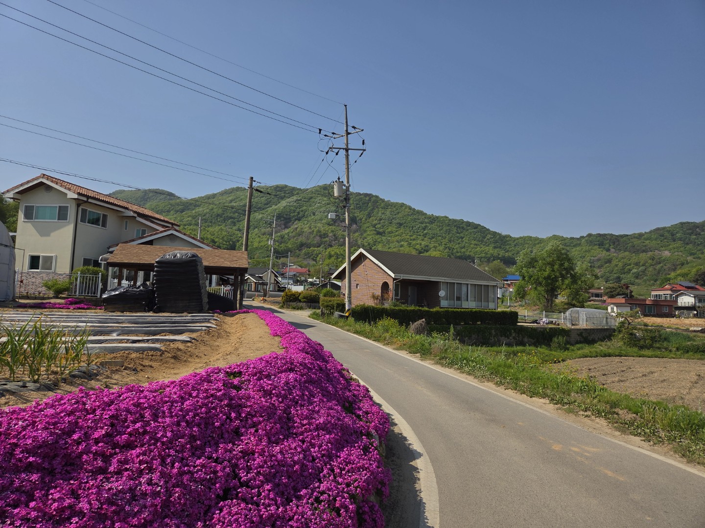 Post image 10