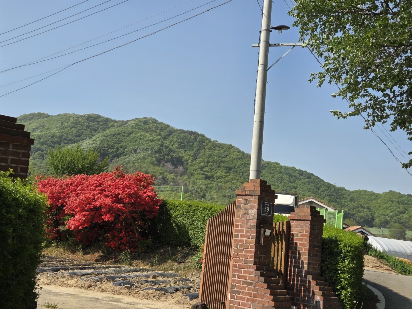 Post image 9