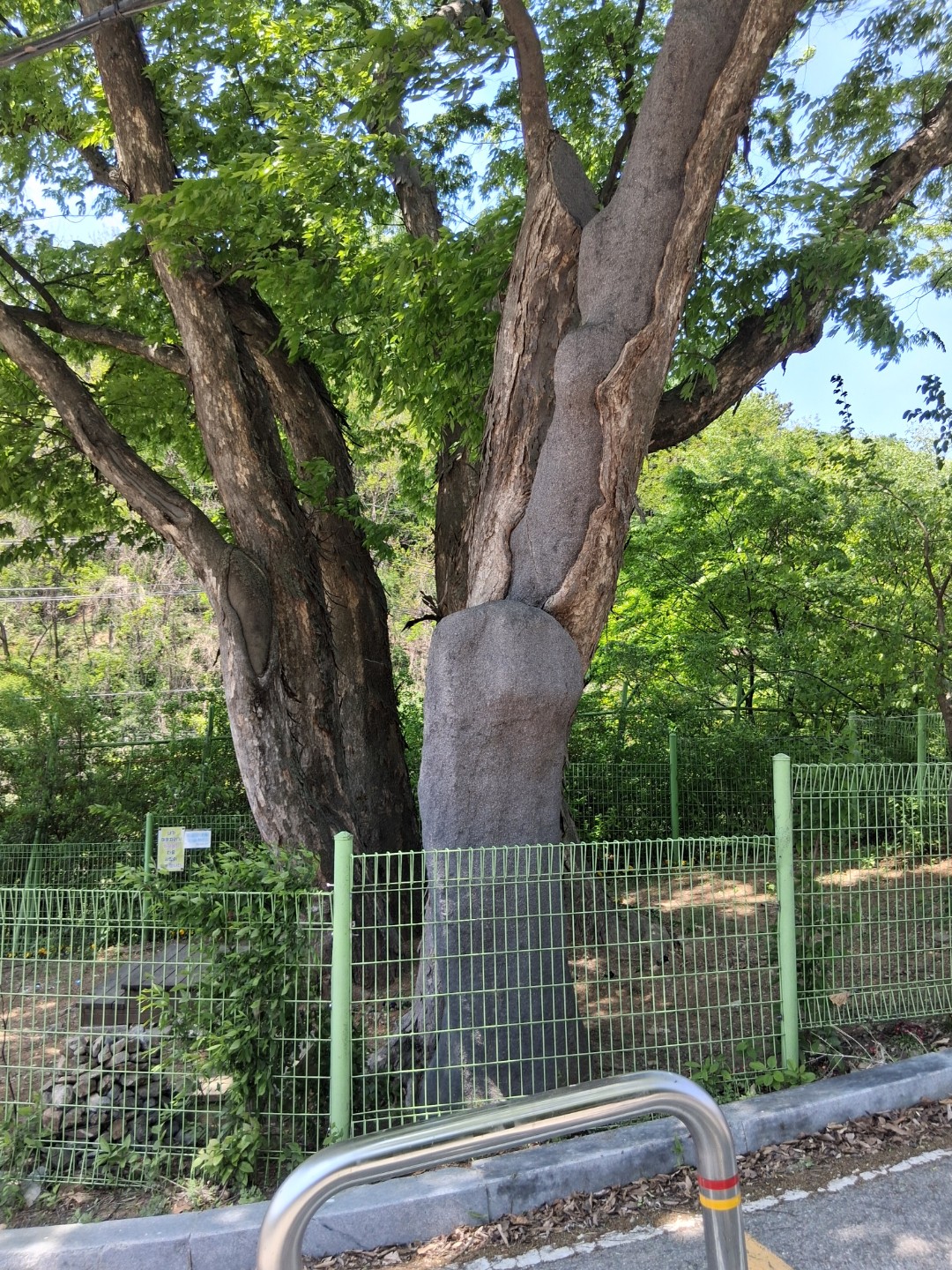 감사 인사