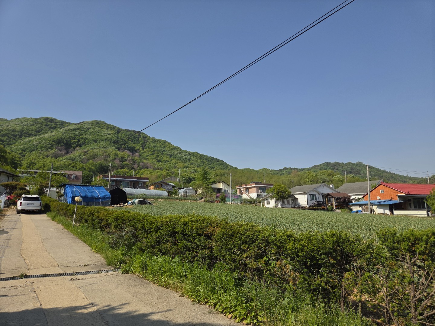 Post image 11