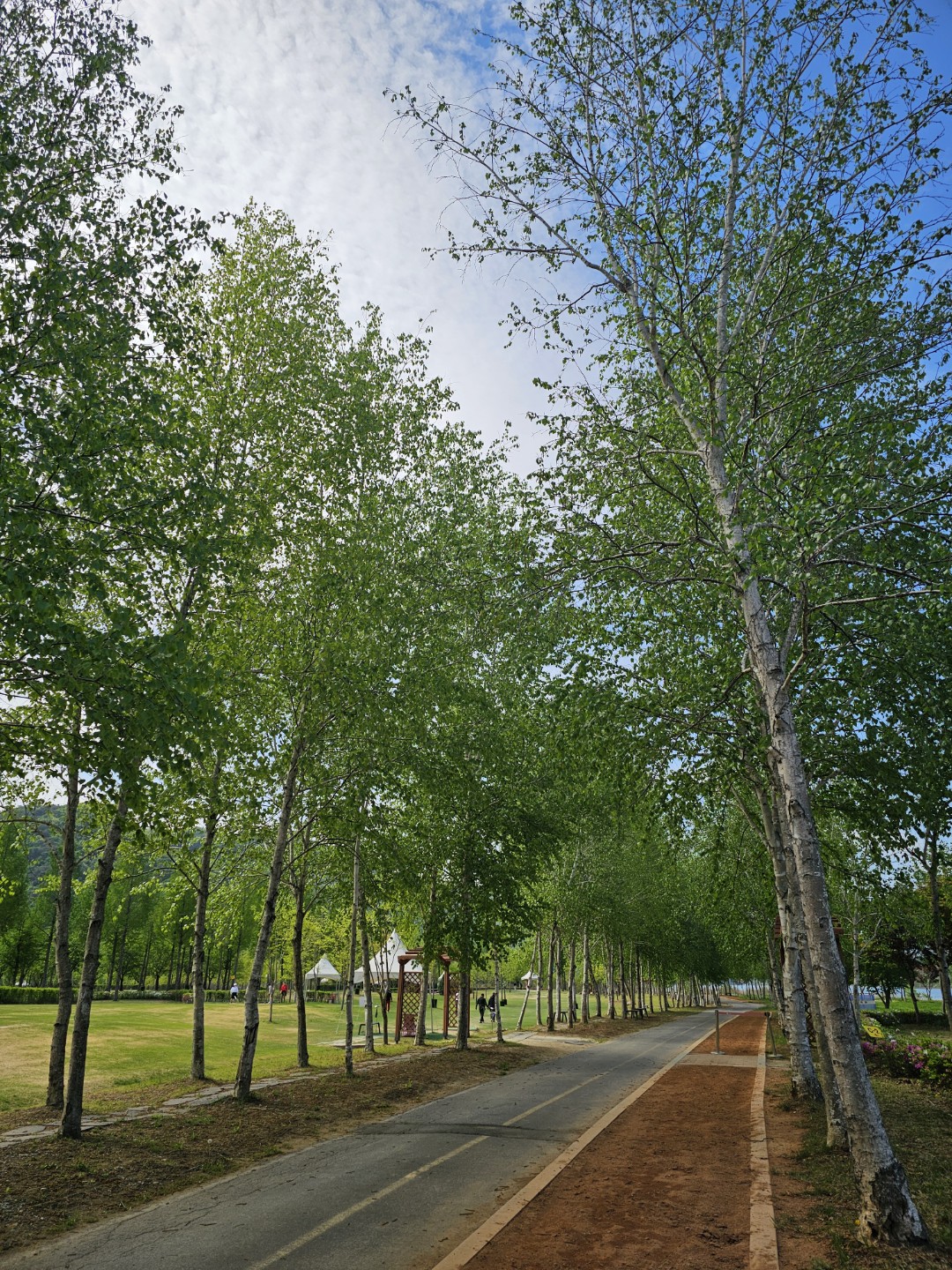 Post image 14