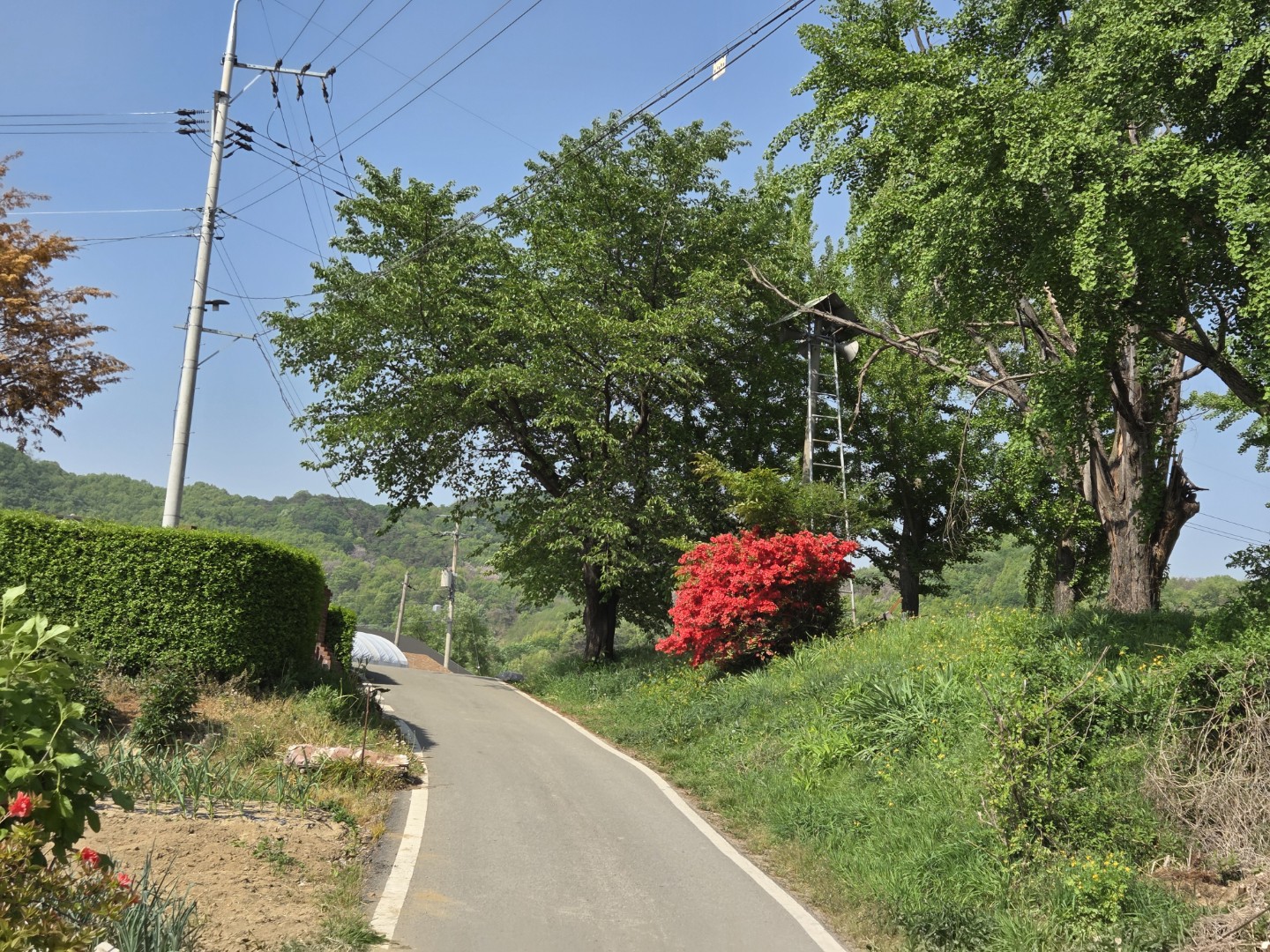 Post image 7