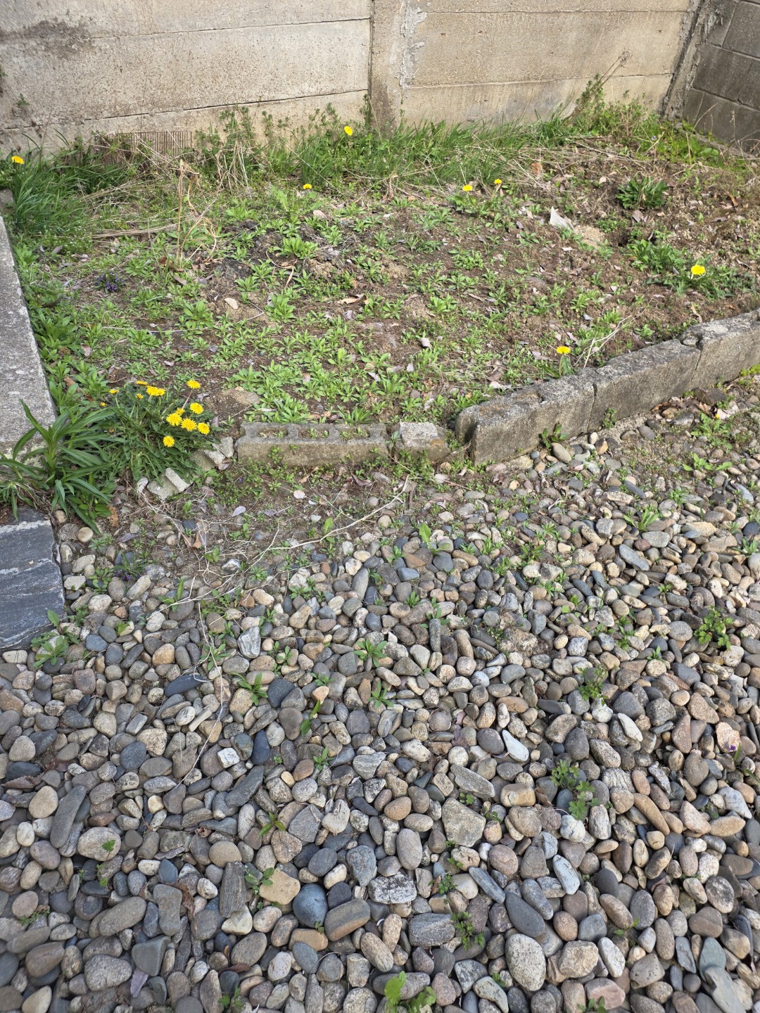 Post image 8