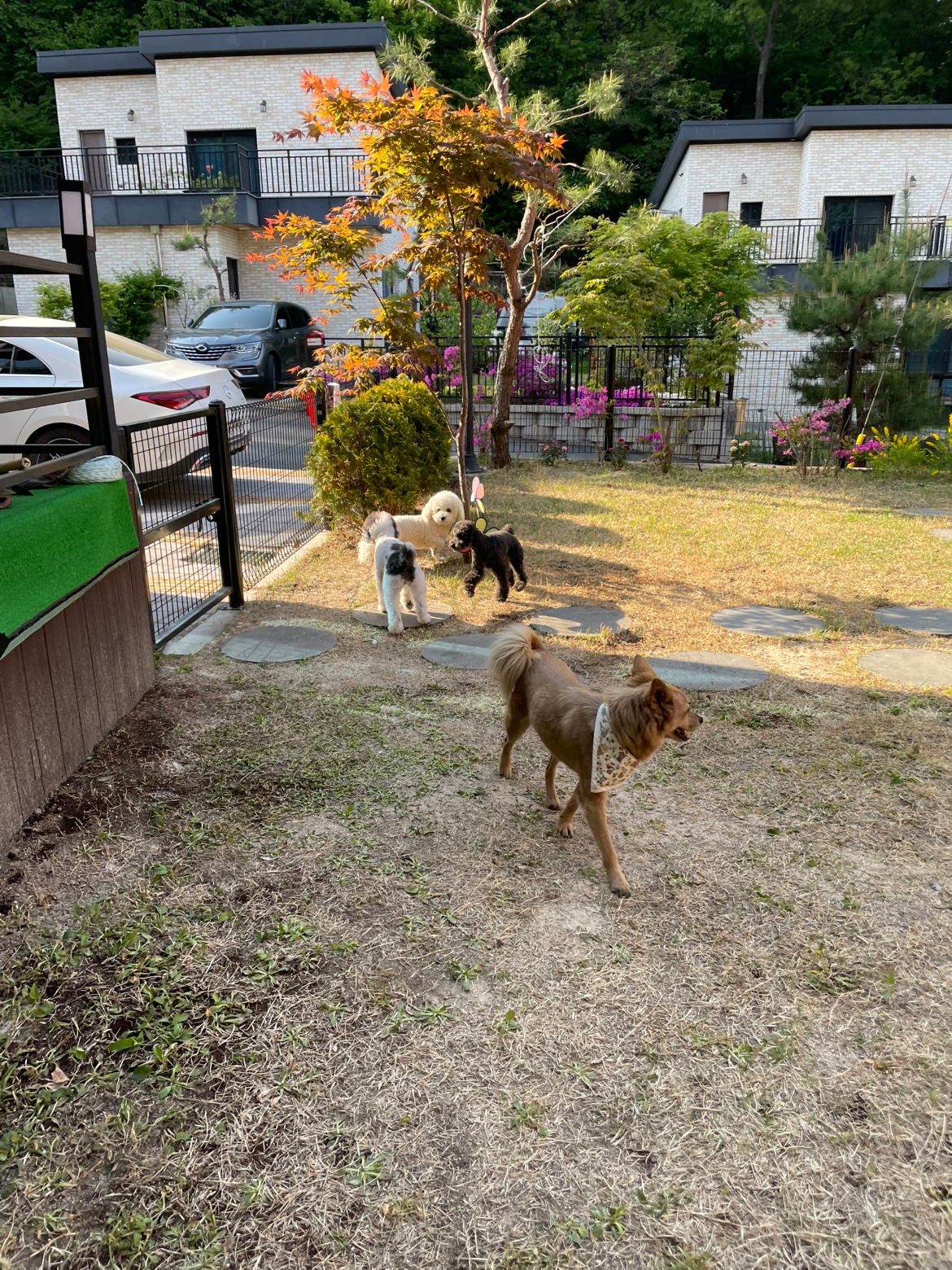 Post image 8