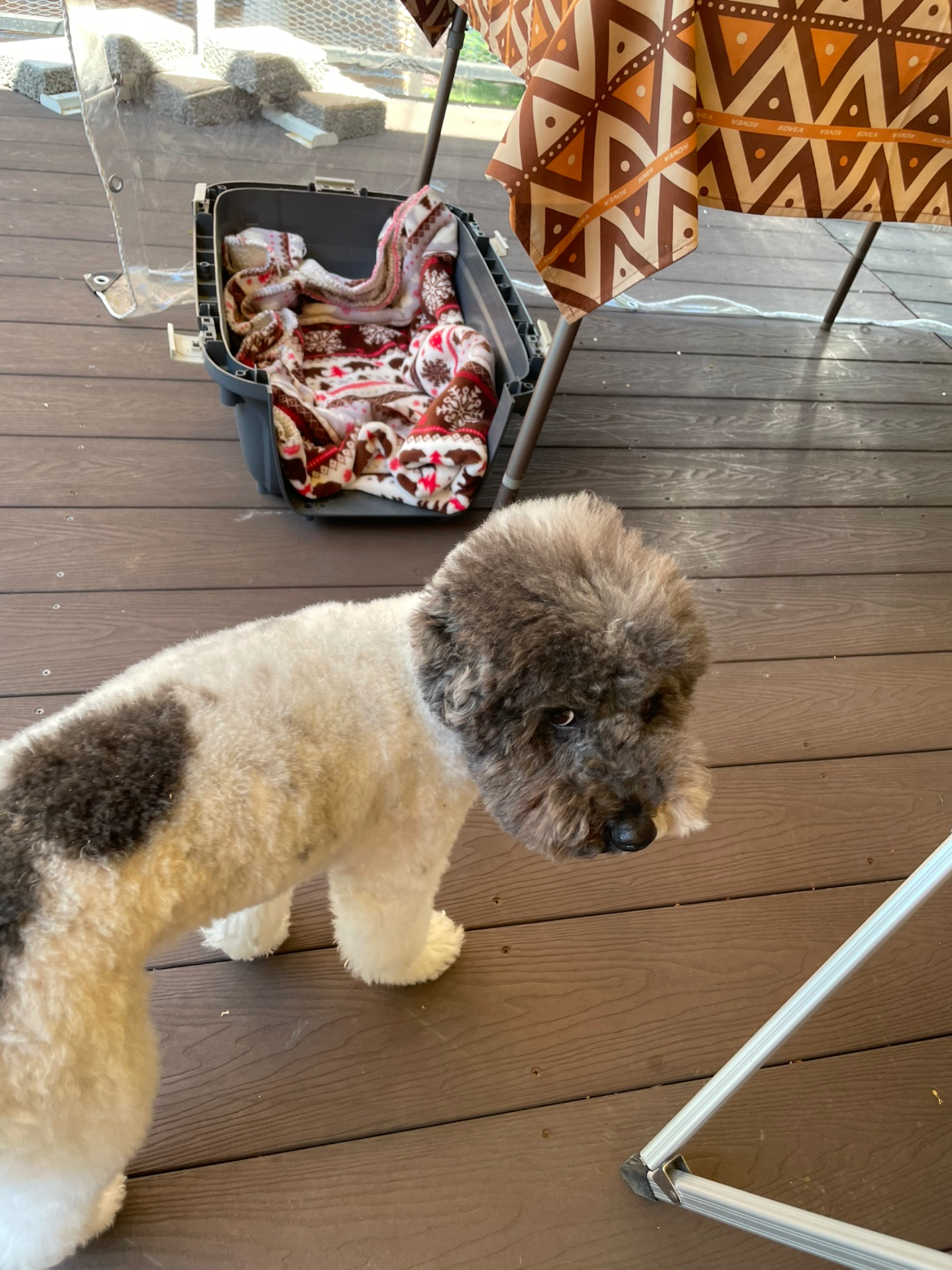 Post image 7
