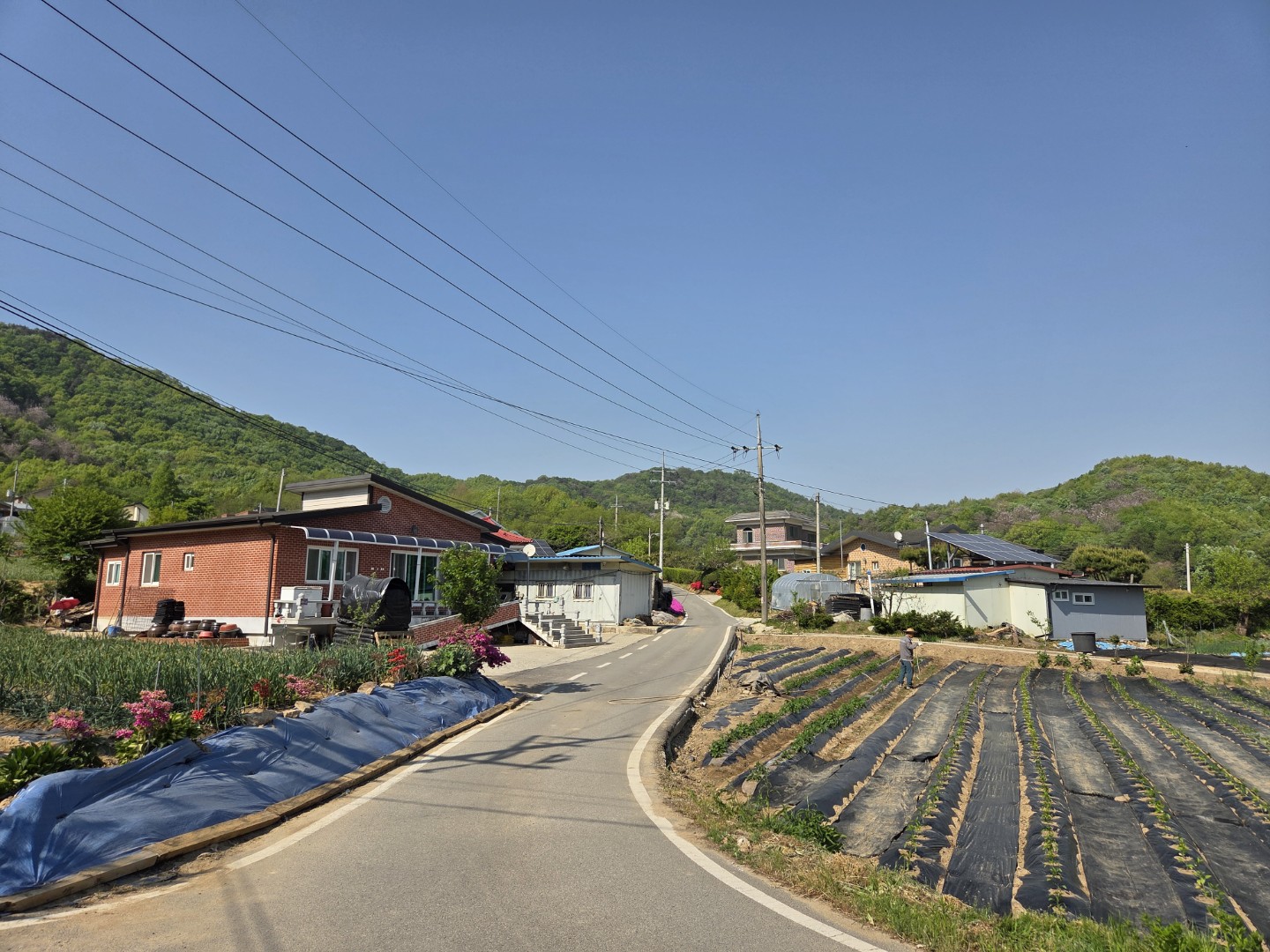 Post image 8