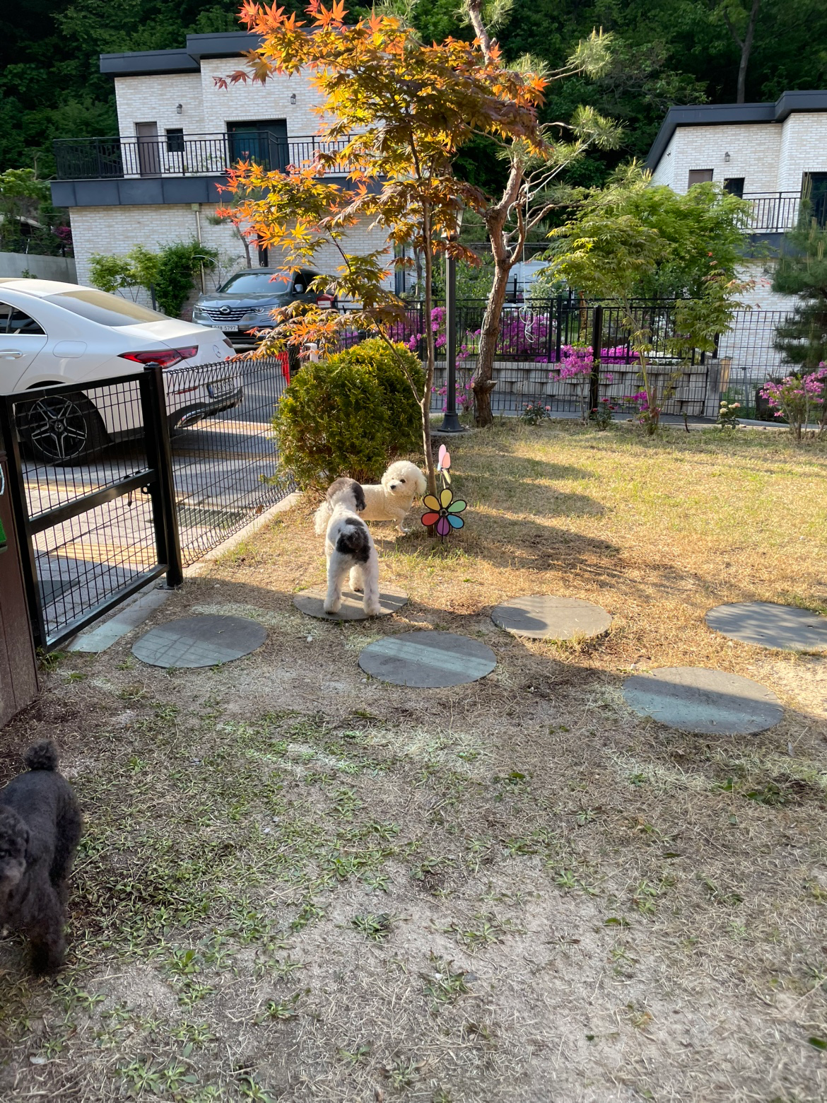 Post image 9