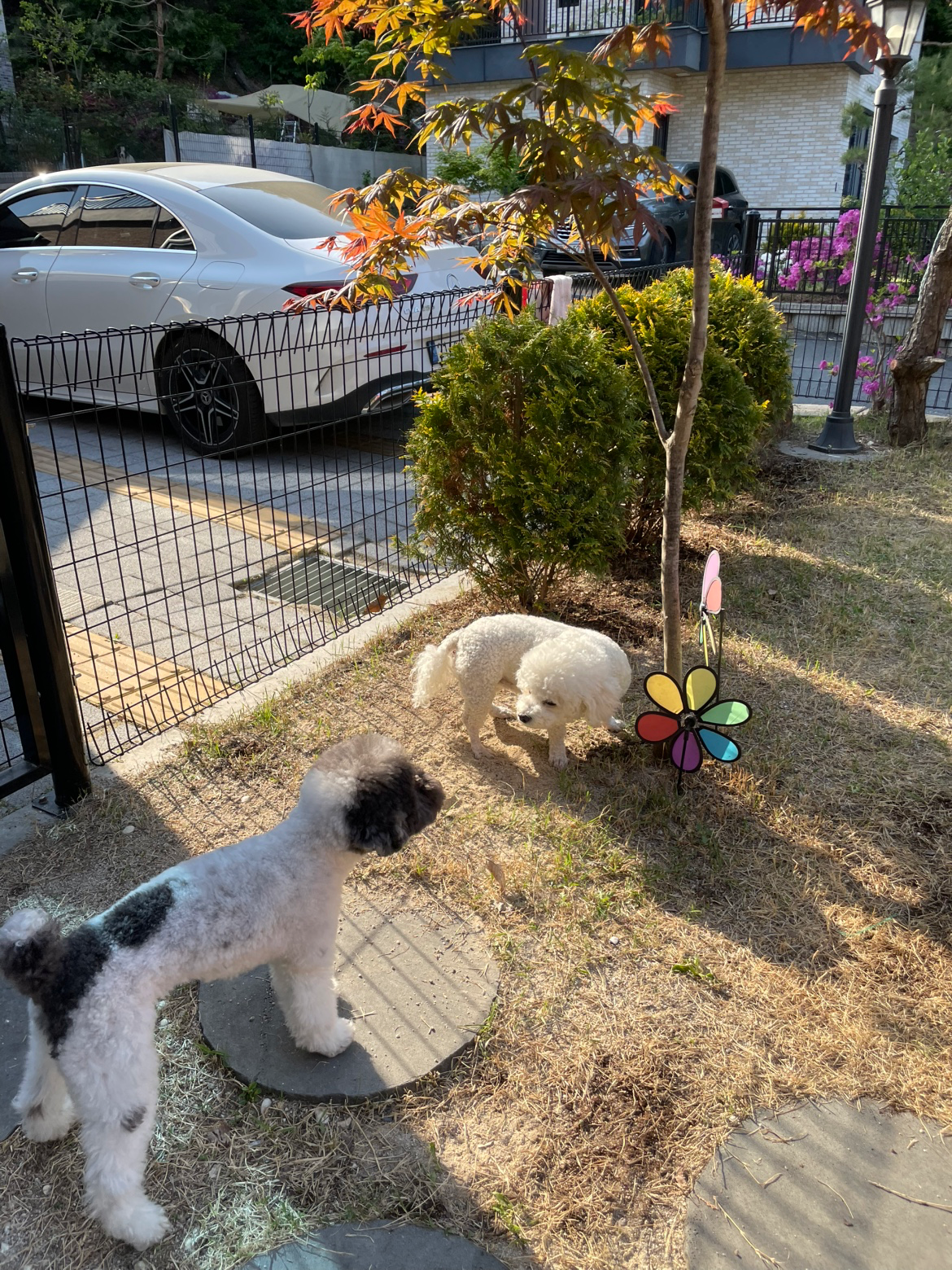 Post image 10