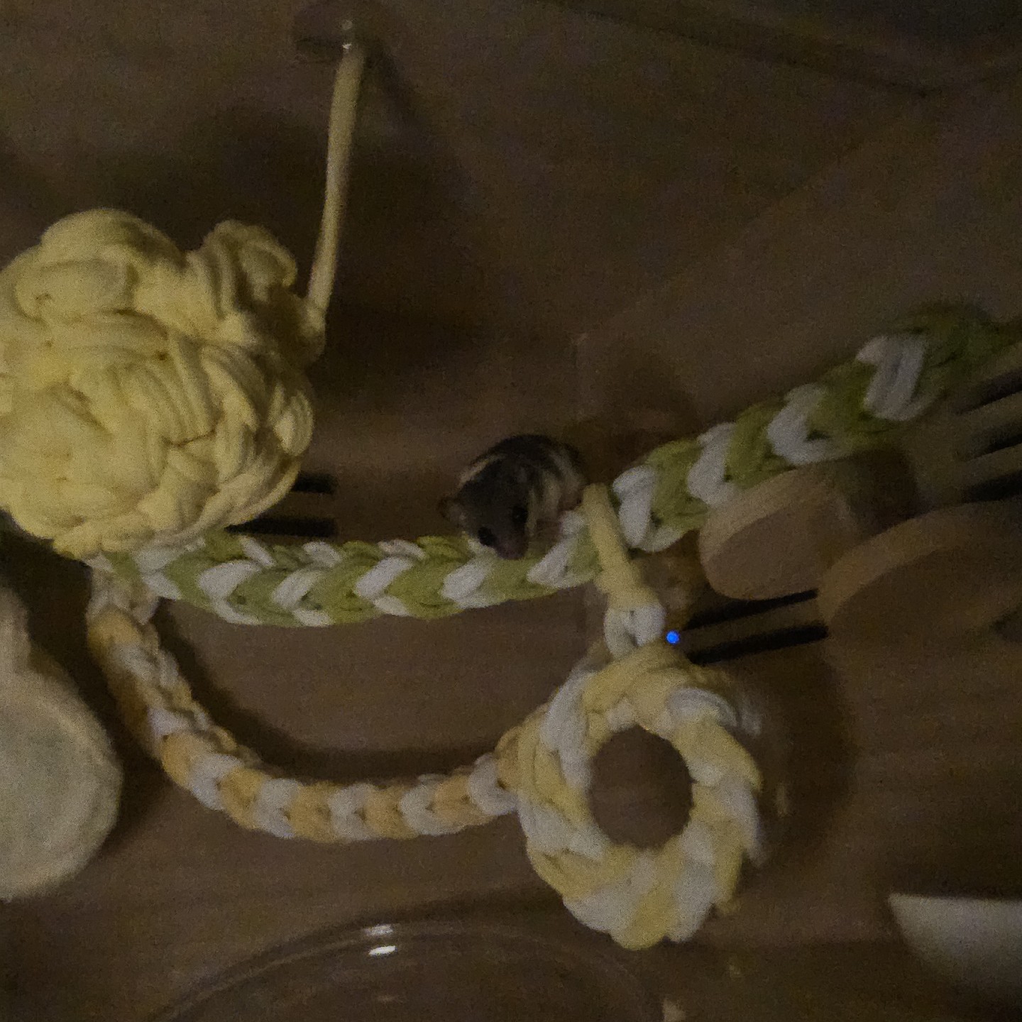 Post image 2