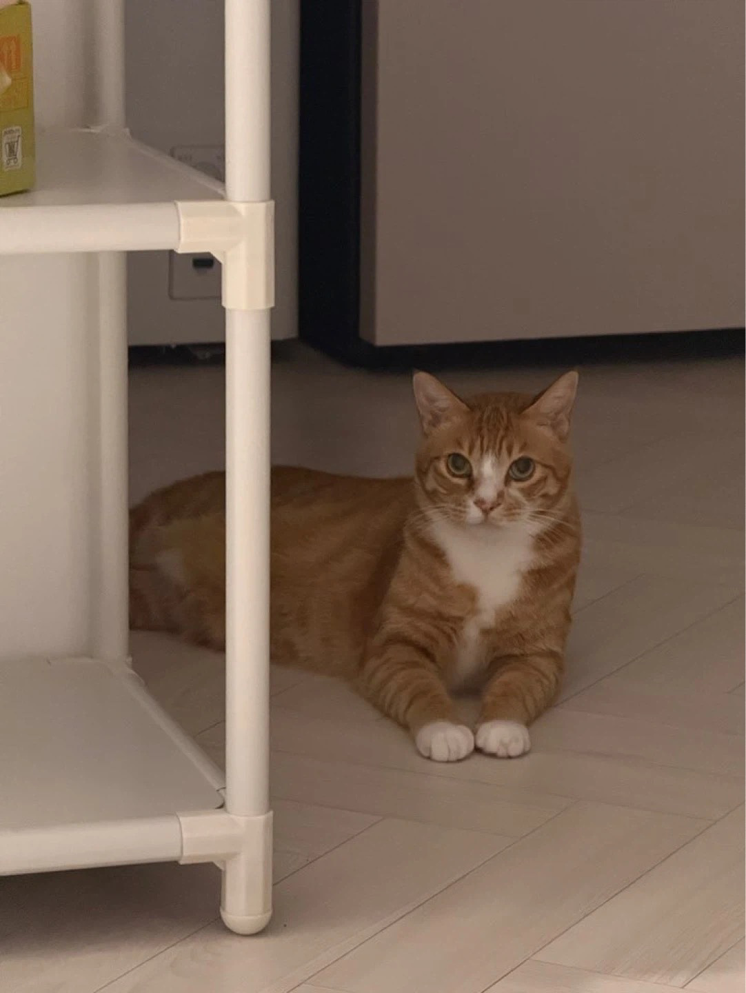 Post image 5