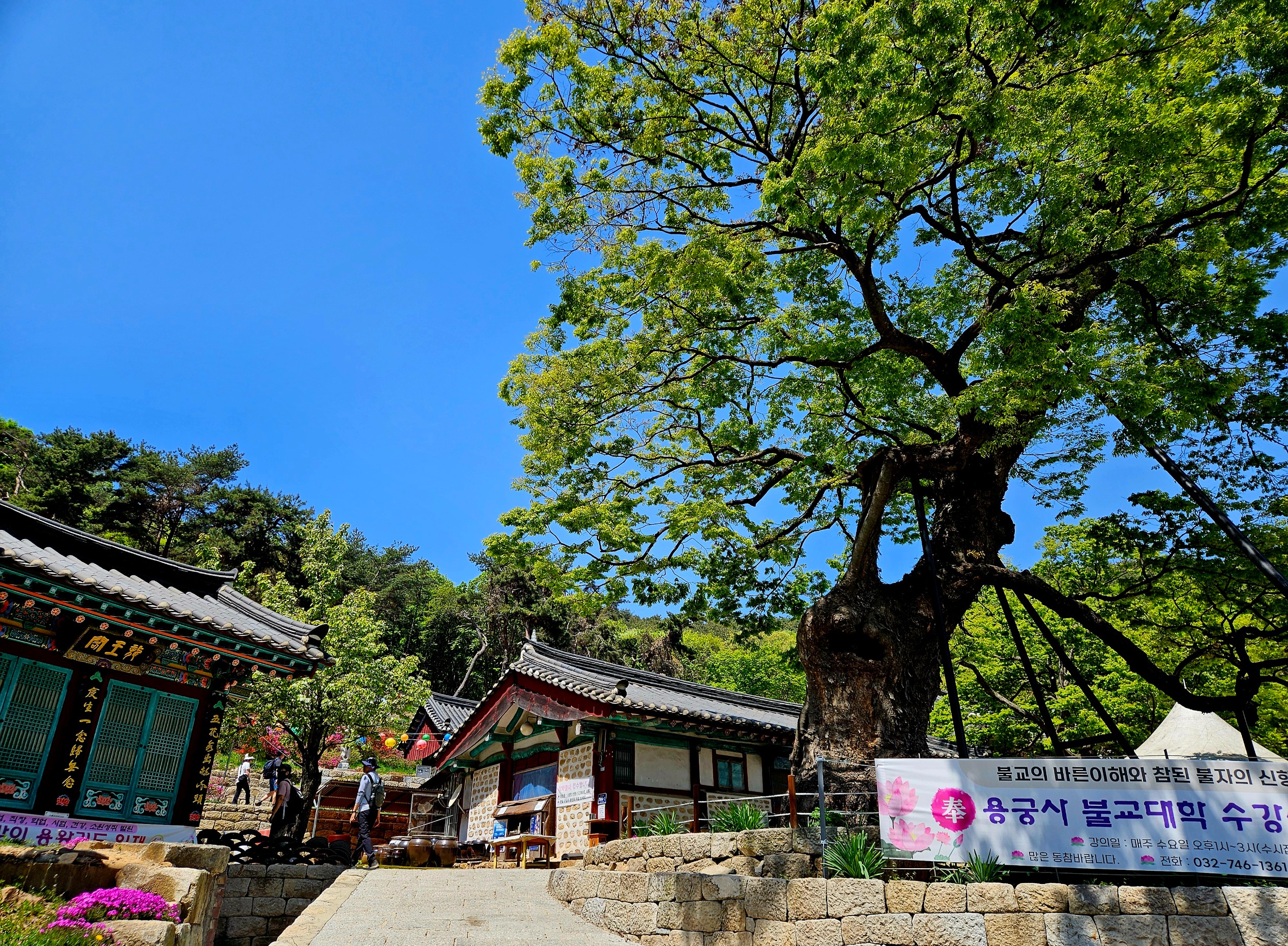 Post image 10
