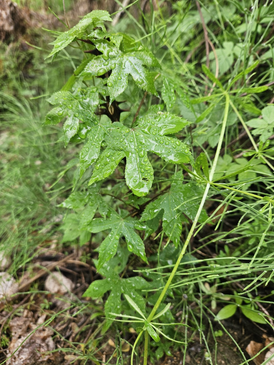 Post image 3