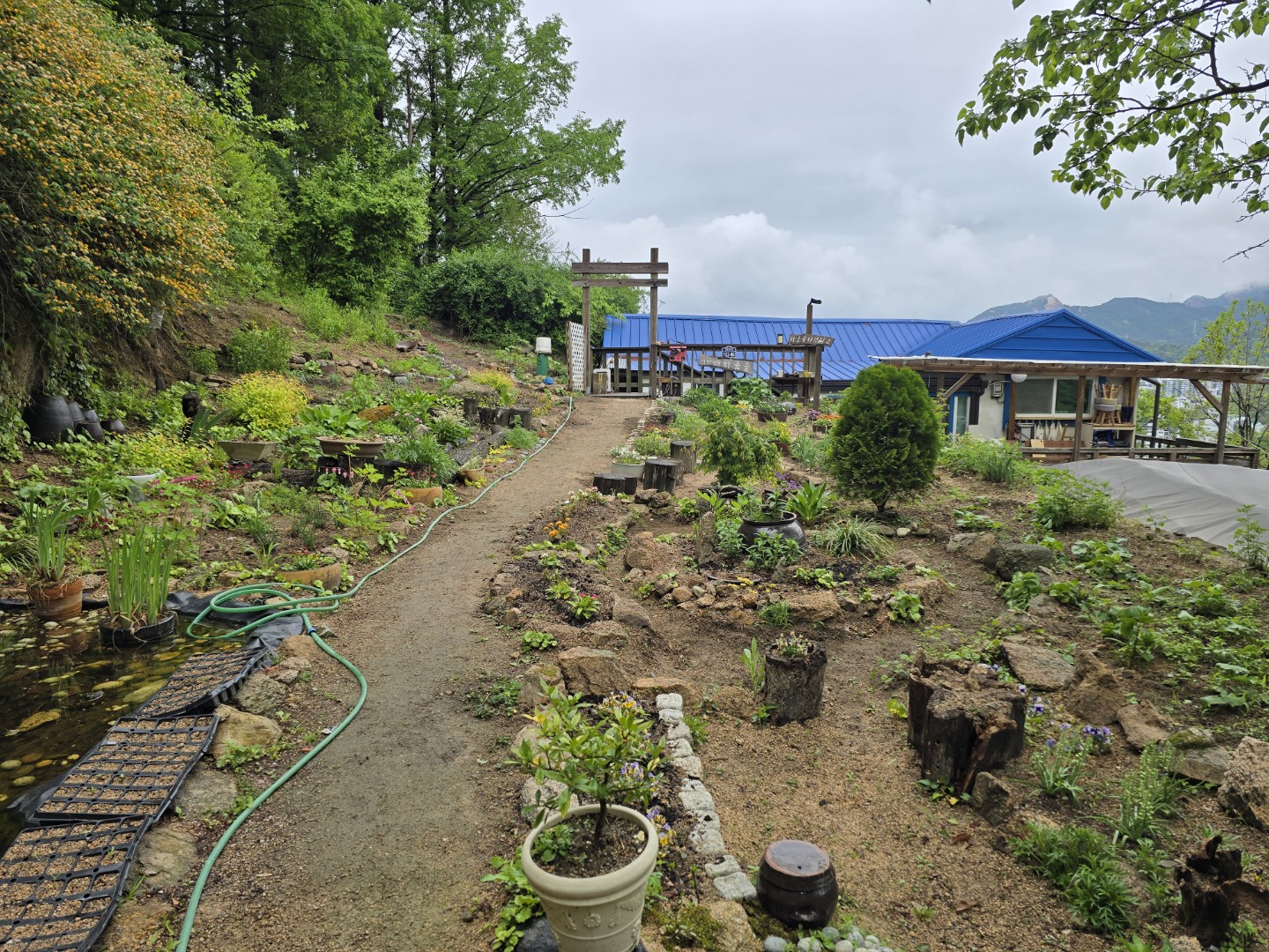 Post image 5