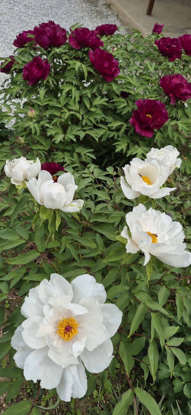 Post image 8
