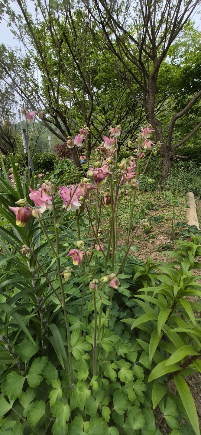 Post image 10