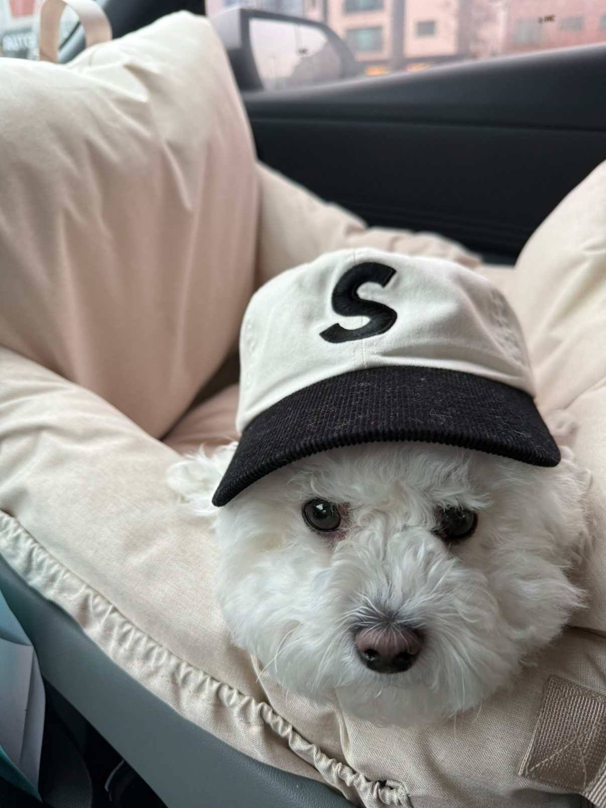 안녕하세여