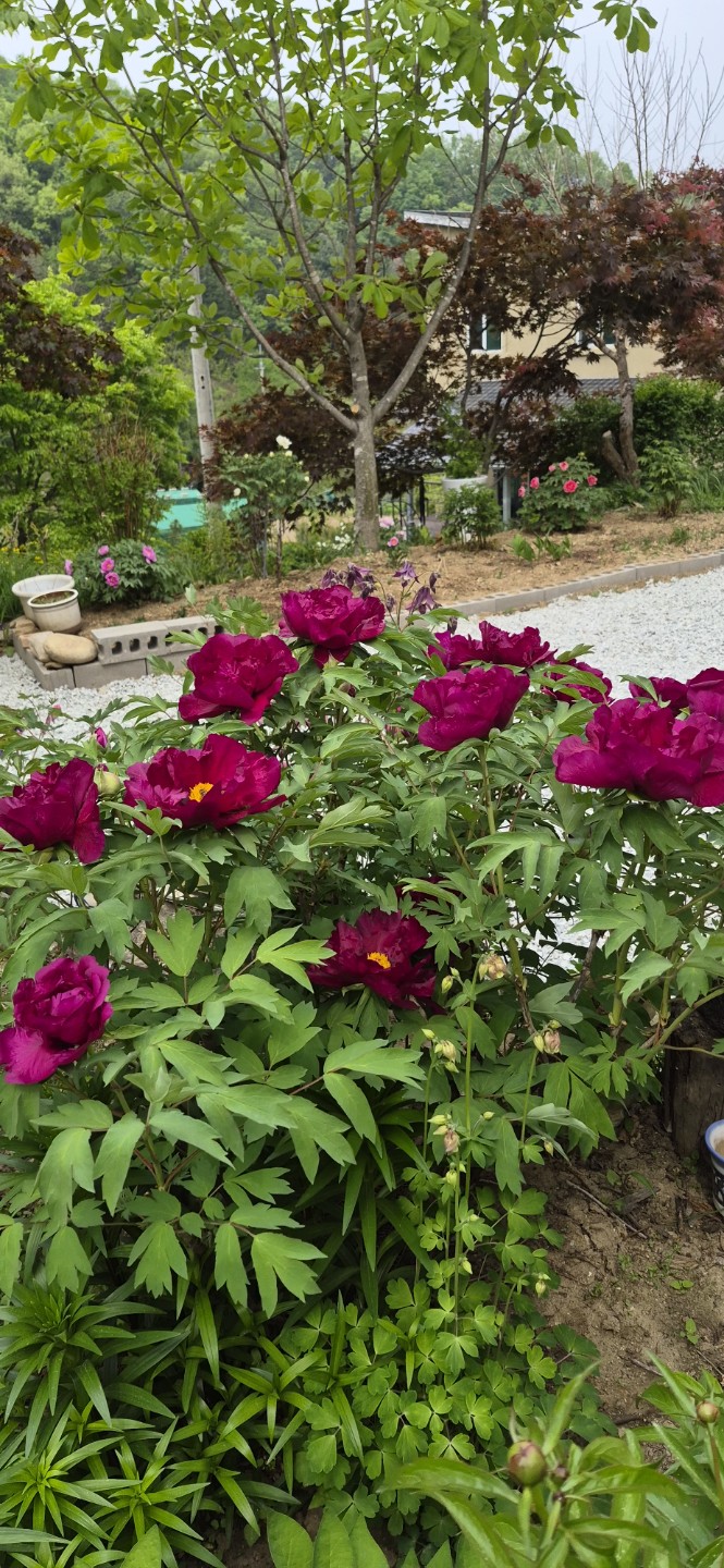 Post image 7