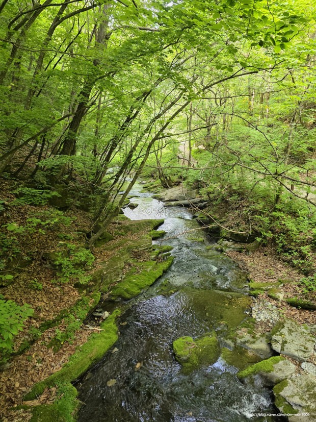 Post image 3
