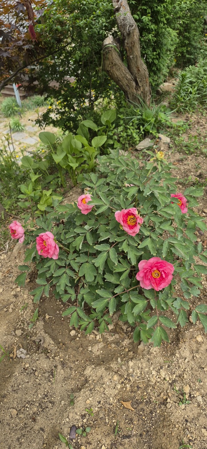 Post image 4