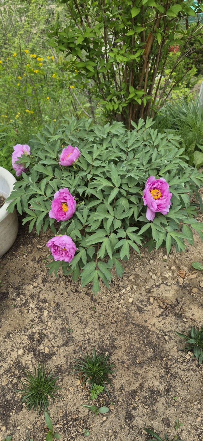 Post image 7