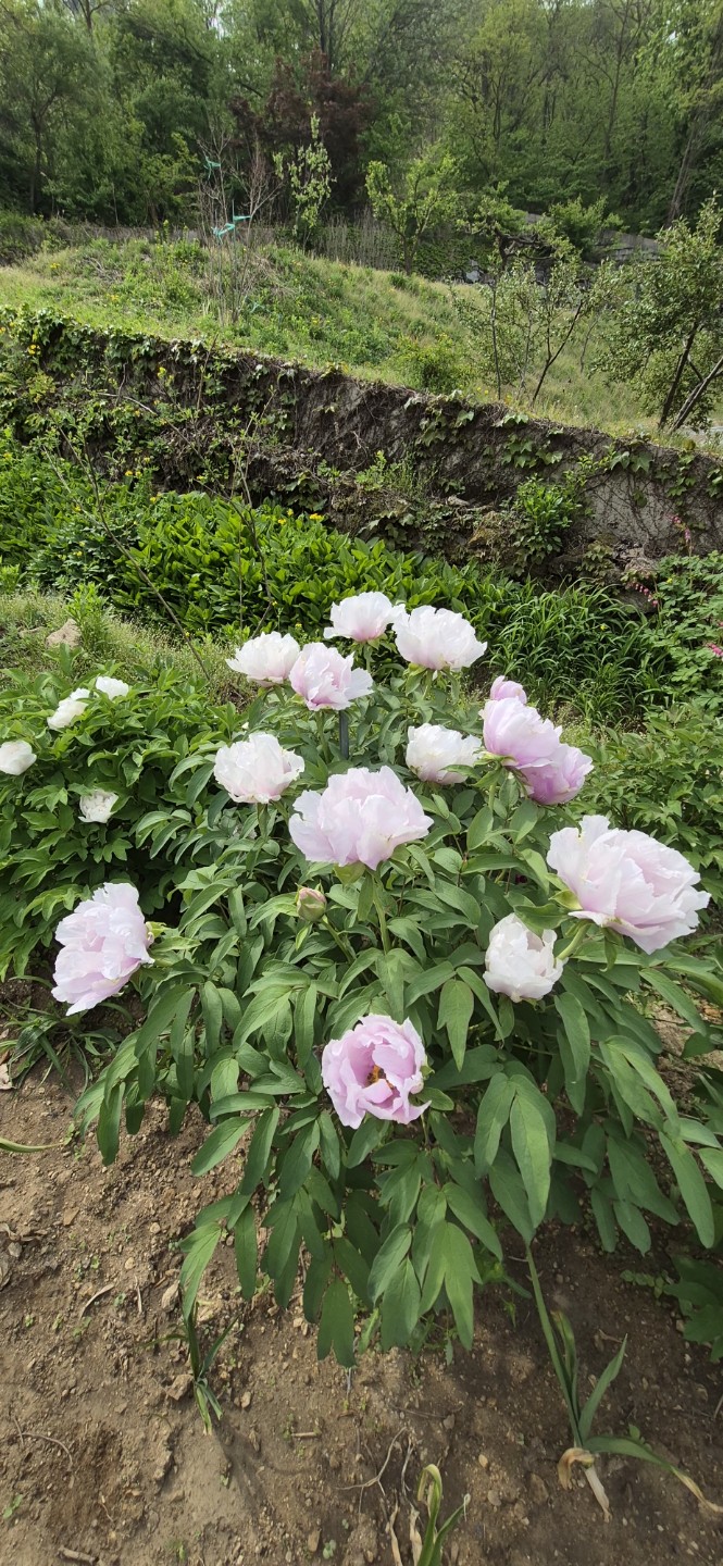 Post image 8