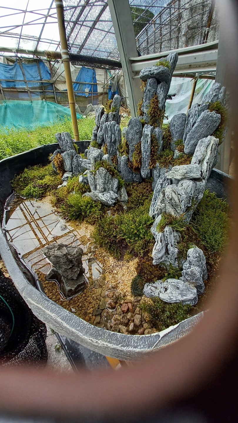 Post image 2