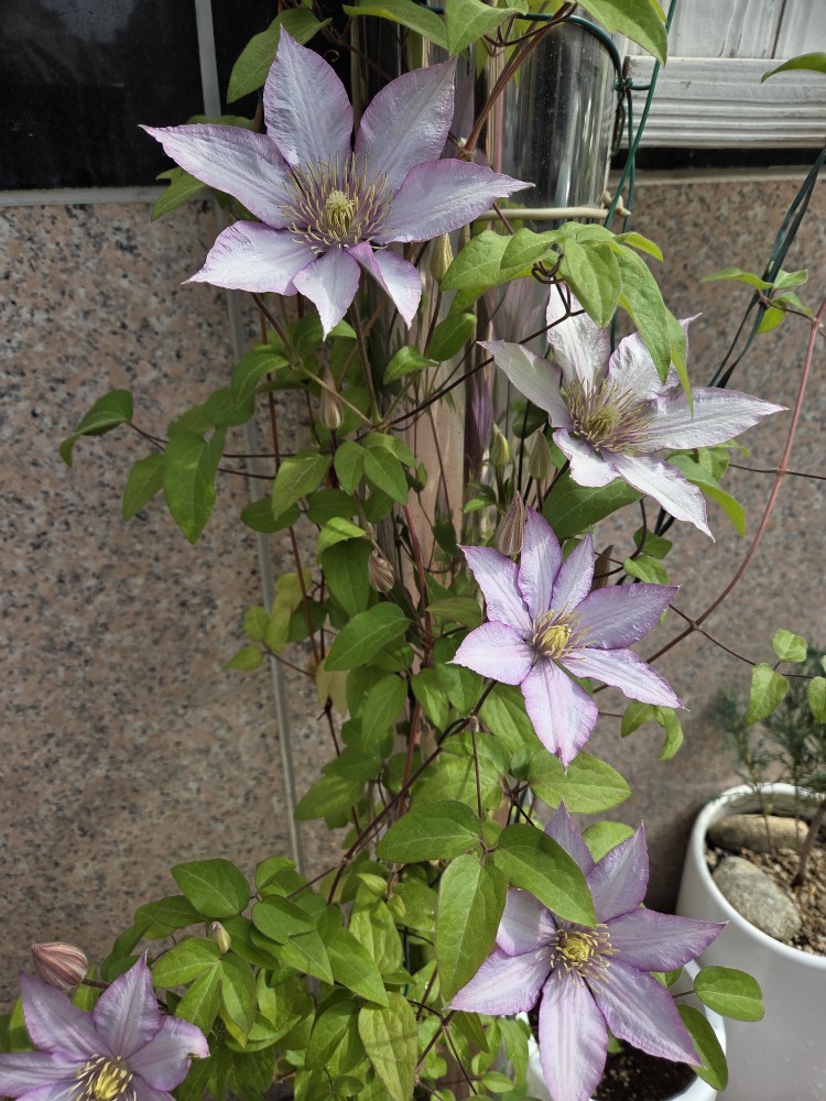 Post image 1