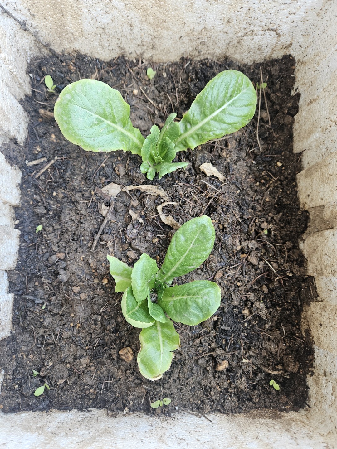 Post image 6