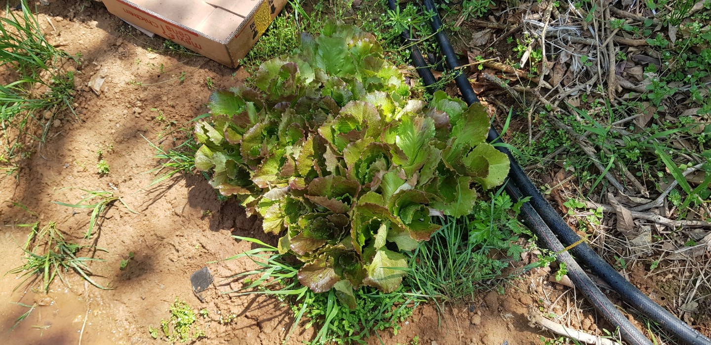 Post image 9