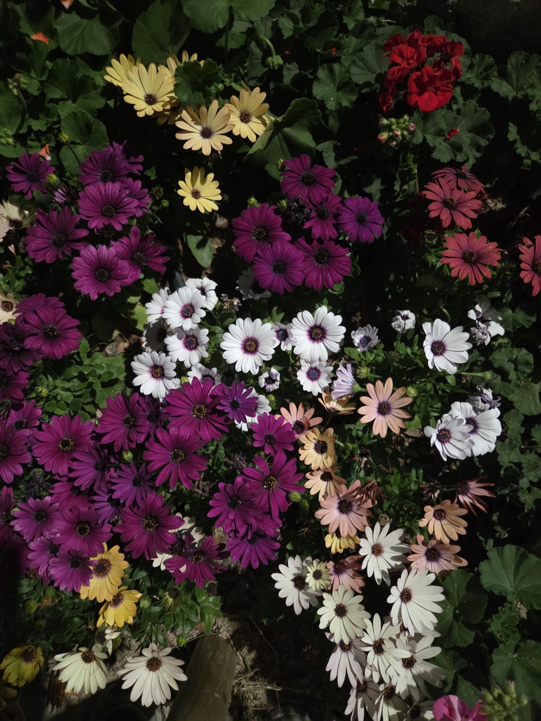 Post image 14