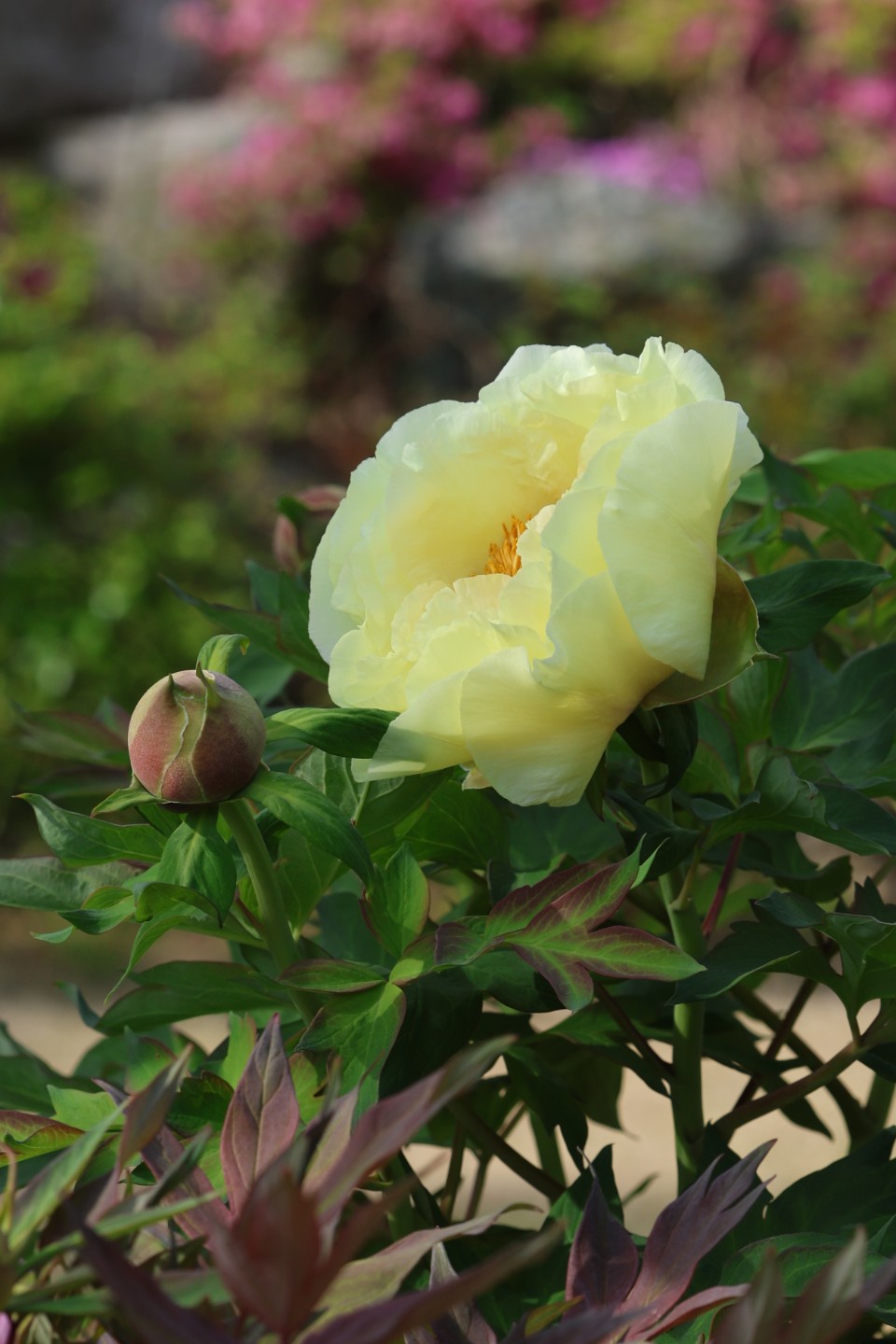 Post image 5