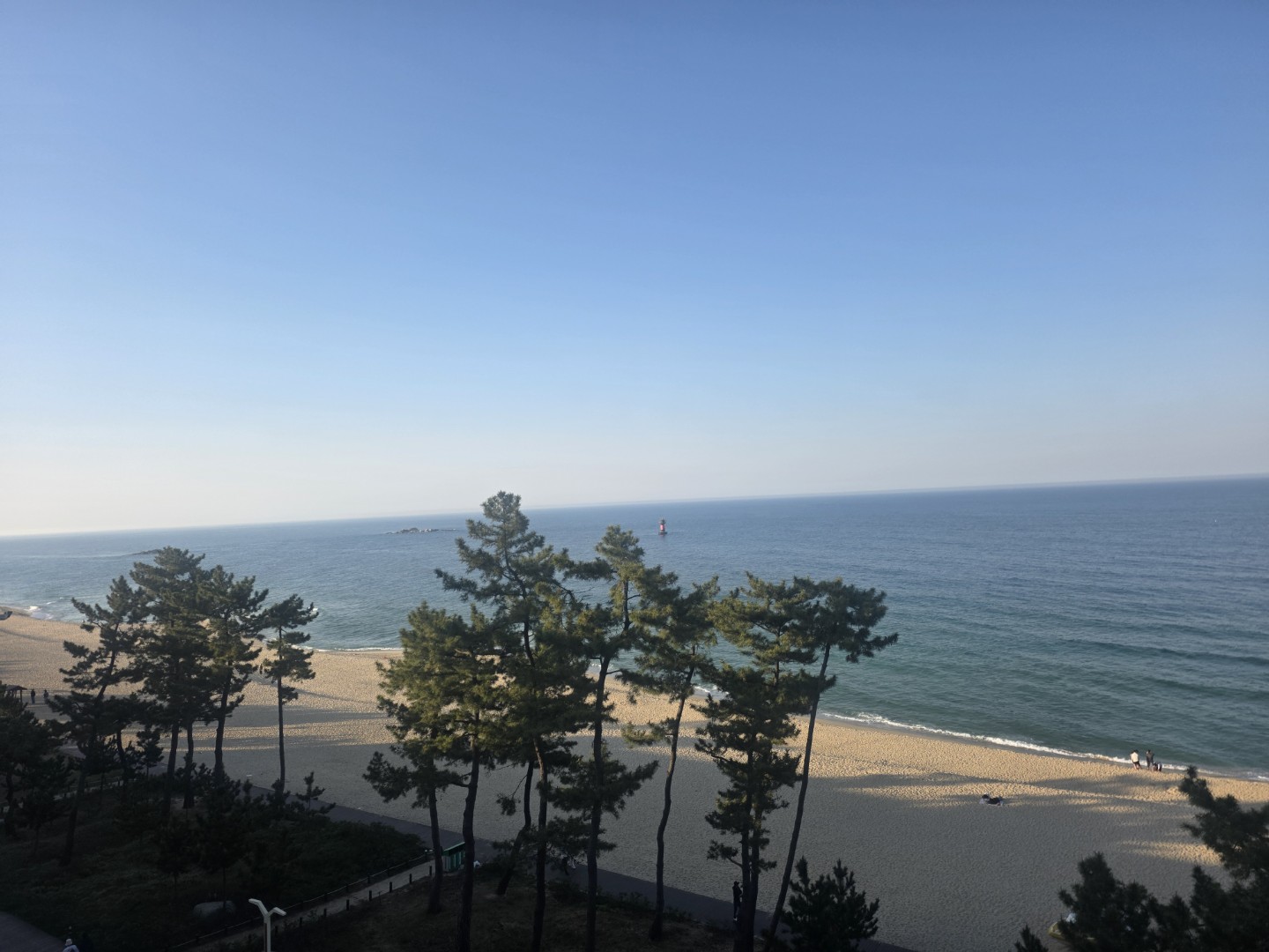 Post image 5
