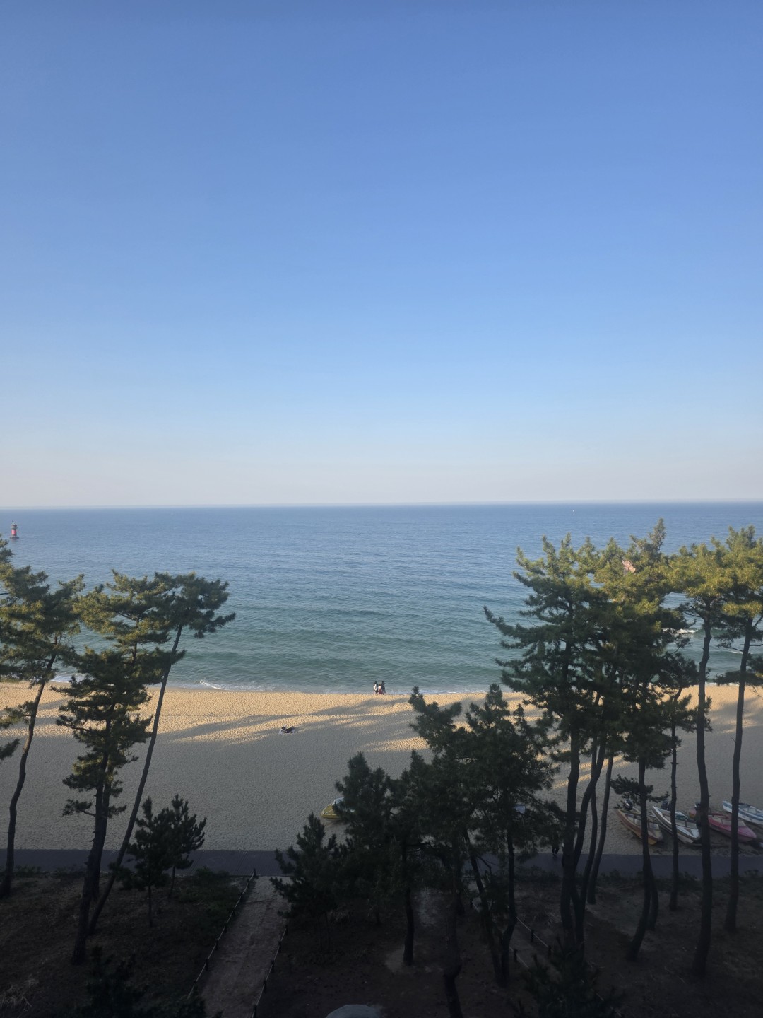 Post image 6