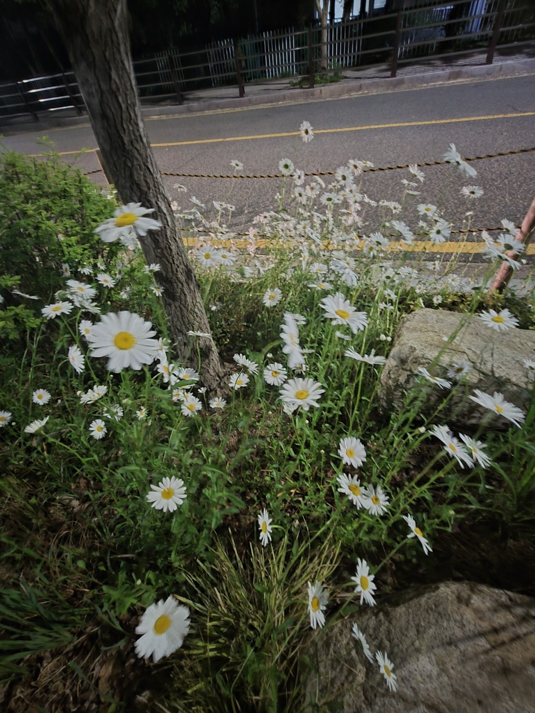 Post image 12