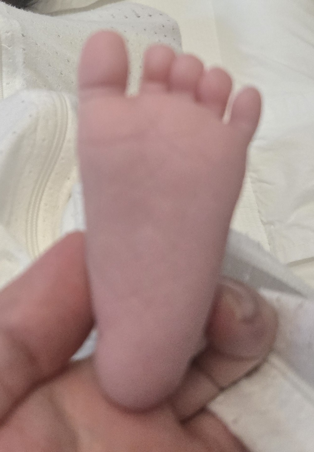 Post image 3