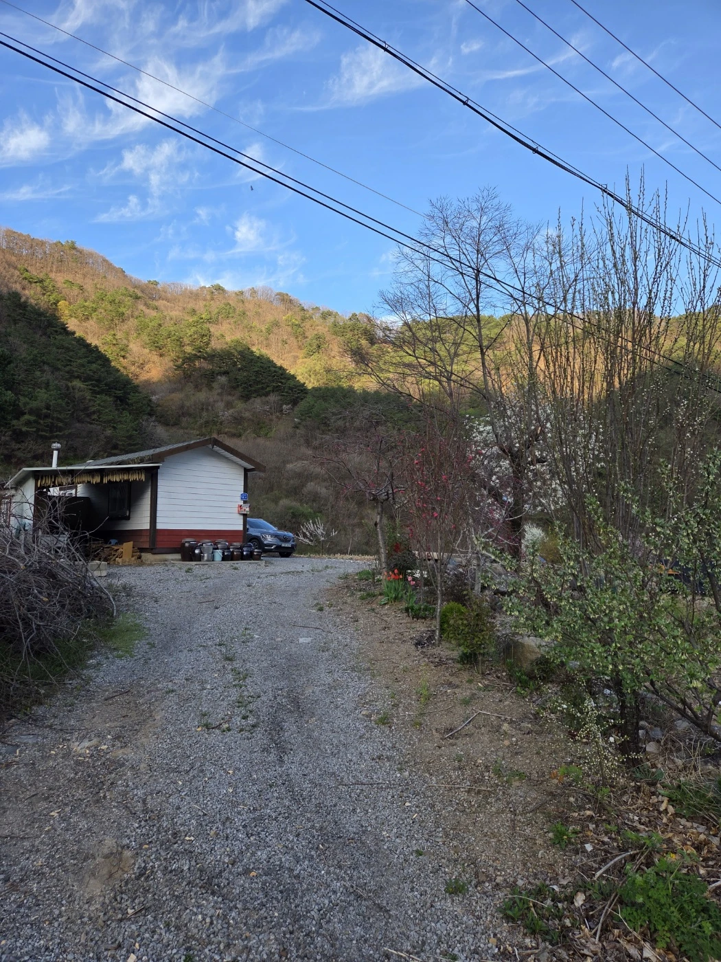Post image 16