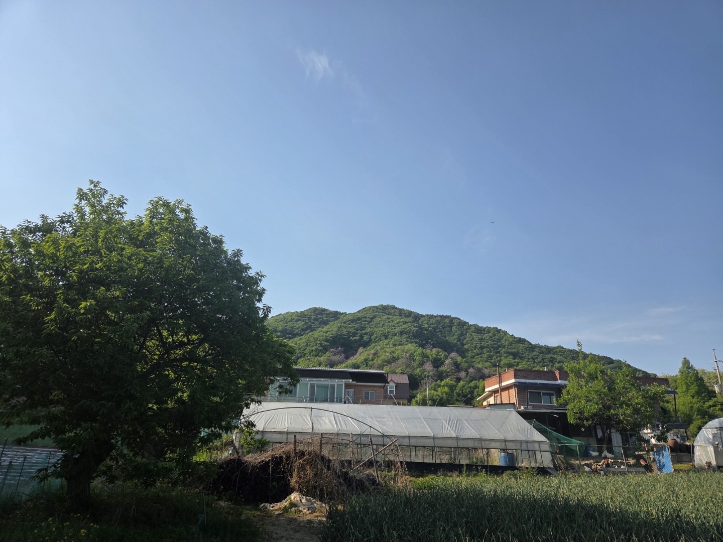 Post image 3
