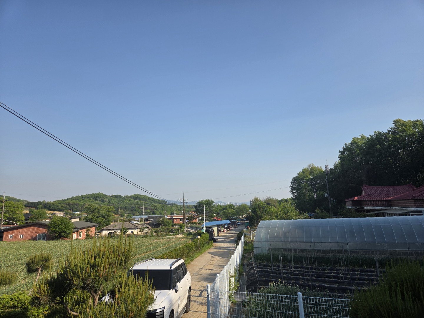 Post image 5