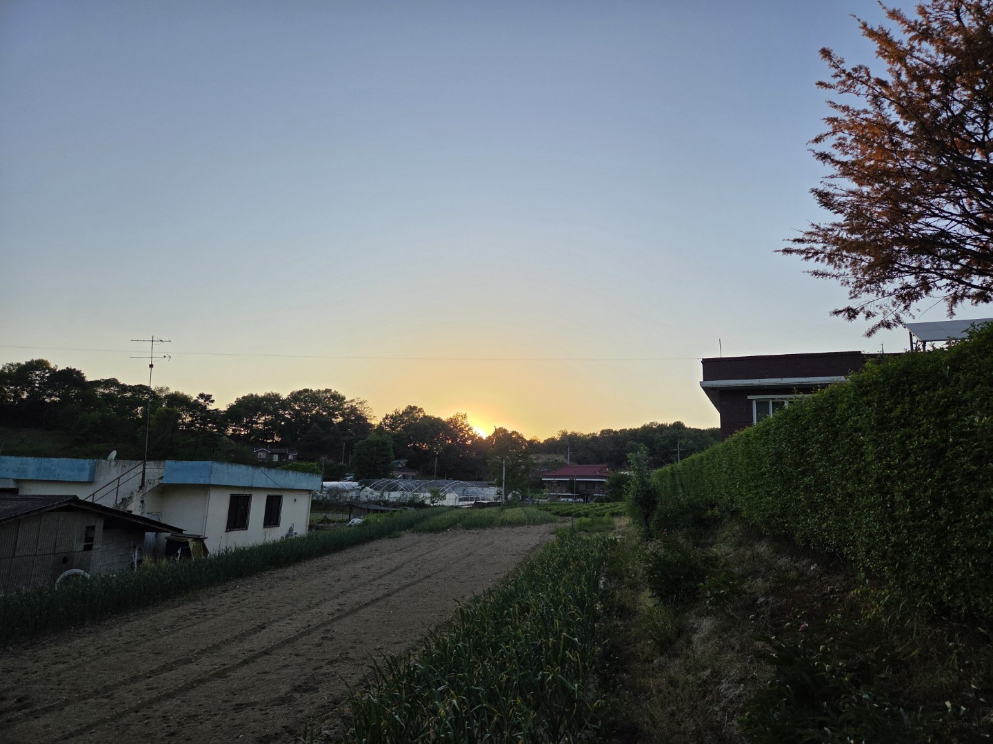 Post image 3