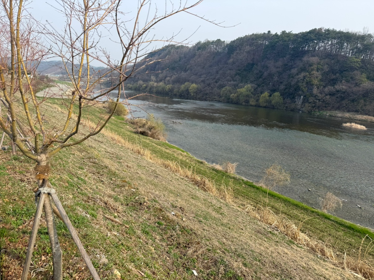 Post image 6