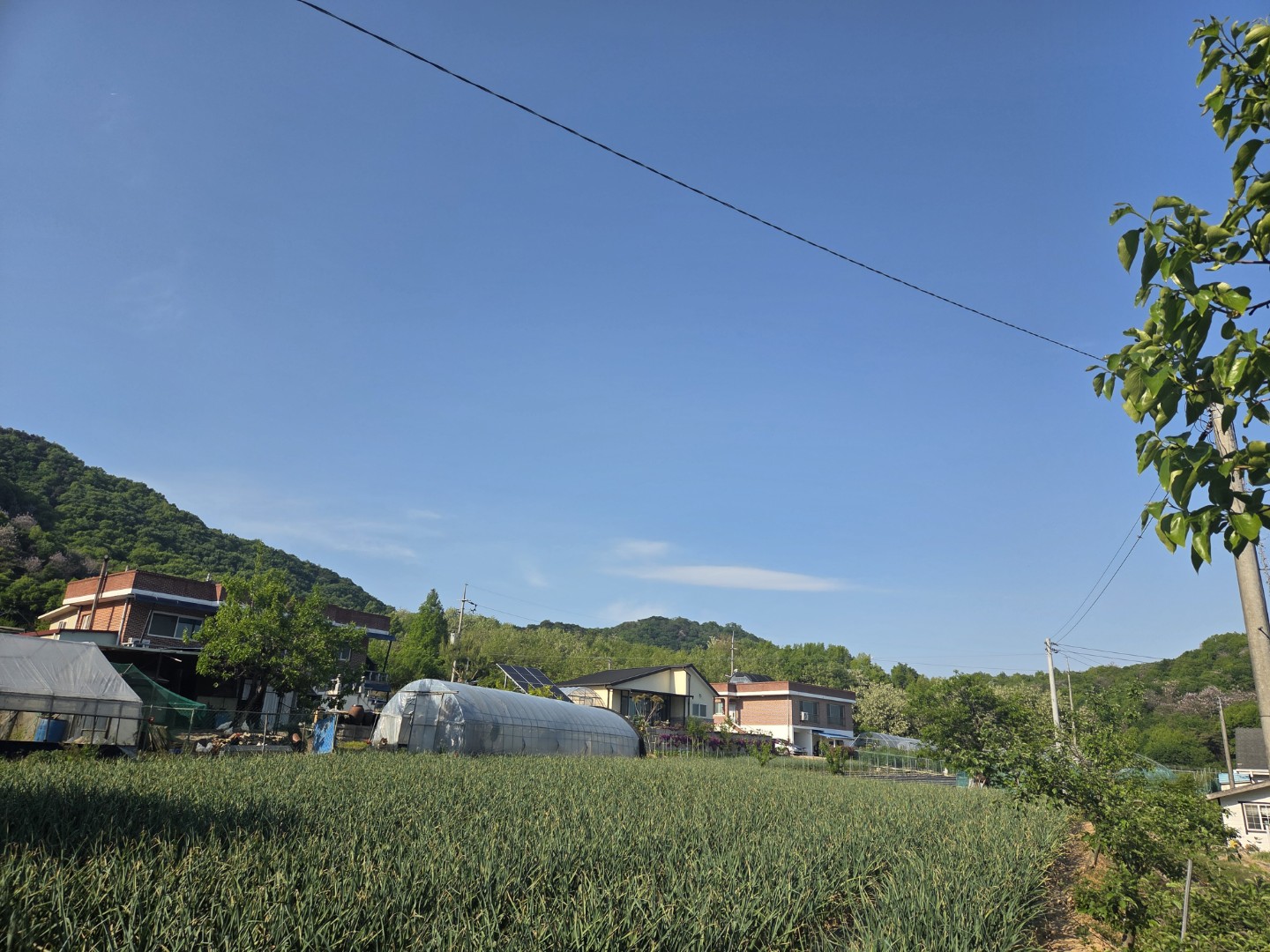 Post image 2